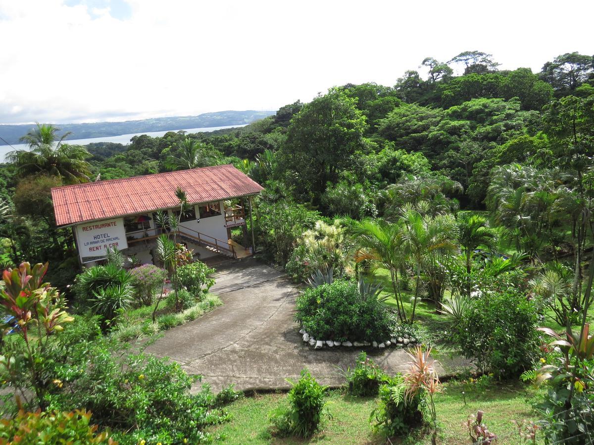 Hotel La Rana De Arenal Nuevo Arenal Exterior photo