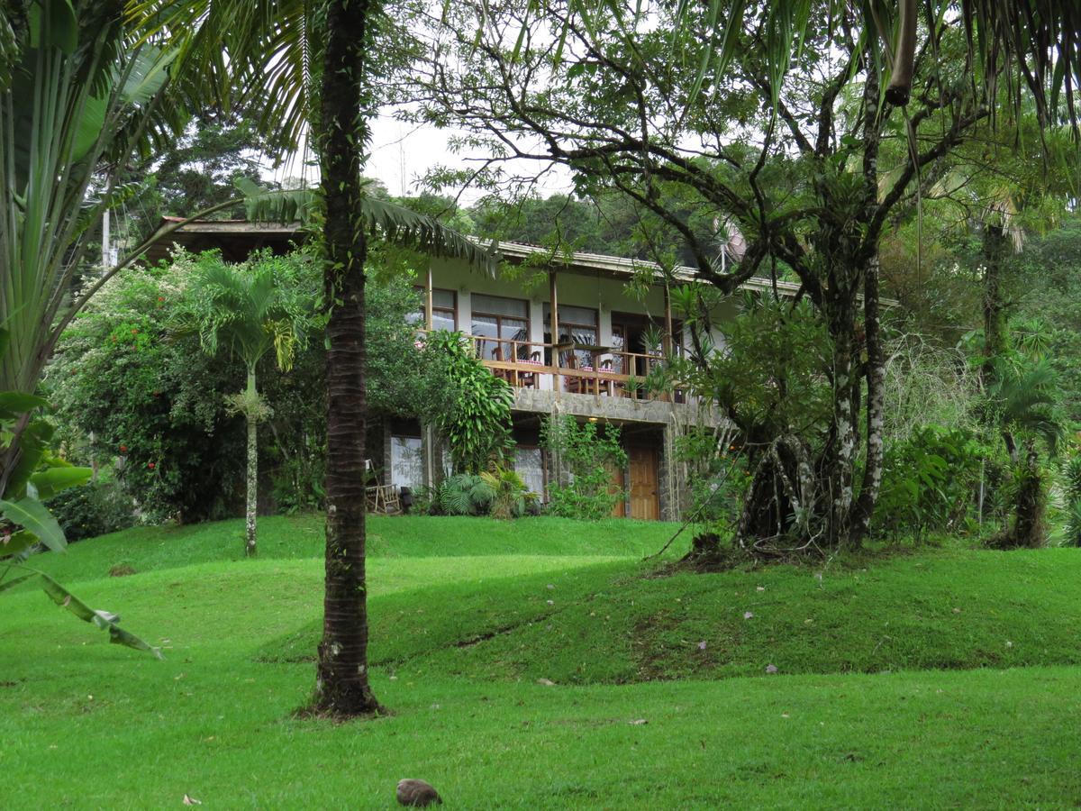 Hotel La Rana De Arenal Nuevo Arenal Exterior photo