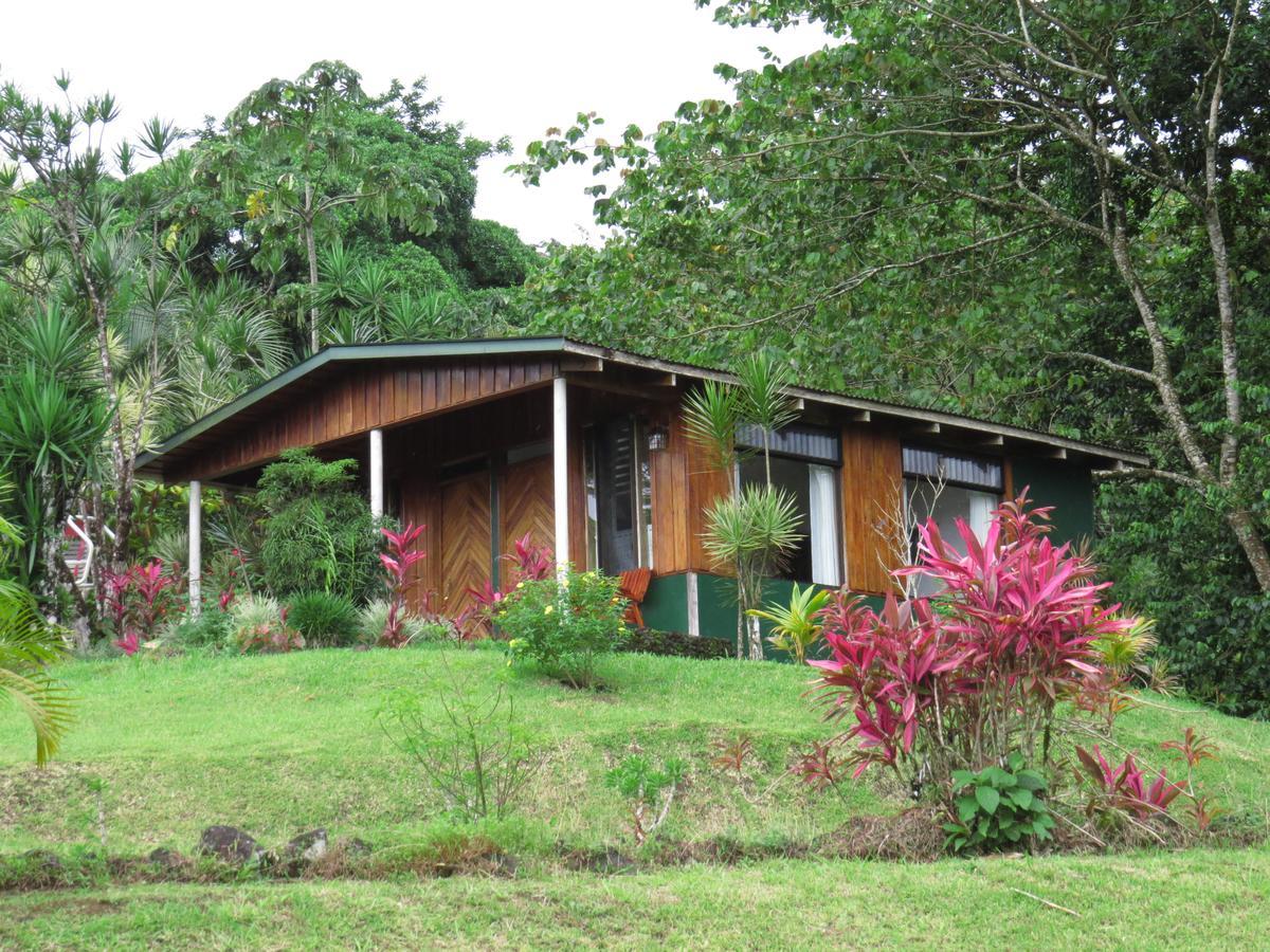 Hotel La Rana De Arenal Nuevo Arenal Exterior photo