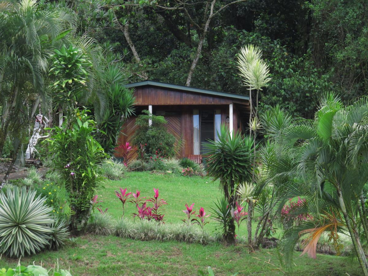 Hotel La Rana De Arenal Nuevo Arenal Exterior photo